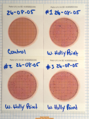 [Plates, Holly Point 2026-08-05 --Russ Tatum for WWALS]