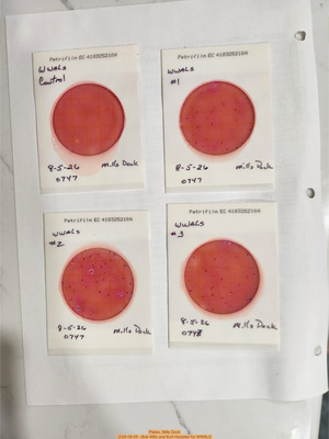 [Plates, Mills Dock 2026-08-05 --Bob Mills and Kurt Hurzeler for WWALS]