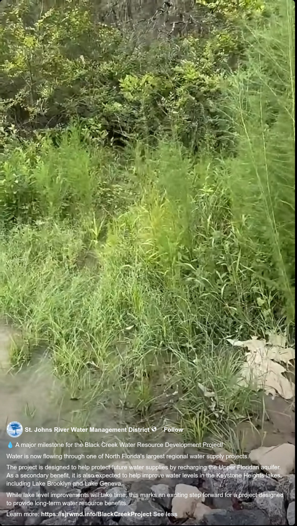 [Water out of Black Creek Pipeline, 2026-08-07 --SJRWMD facebook reel]