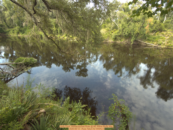 [Holly Point, Withlacoochee River @ NE Withla Bluffs Way 2026-08-12 --Russ Tatum for WWALS]