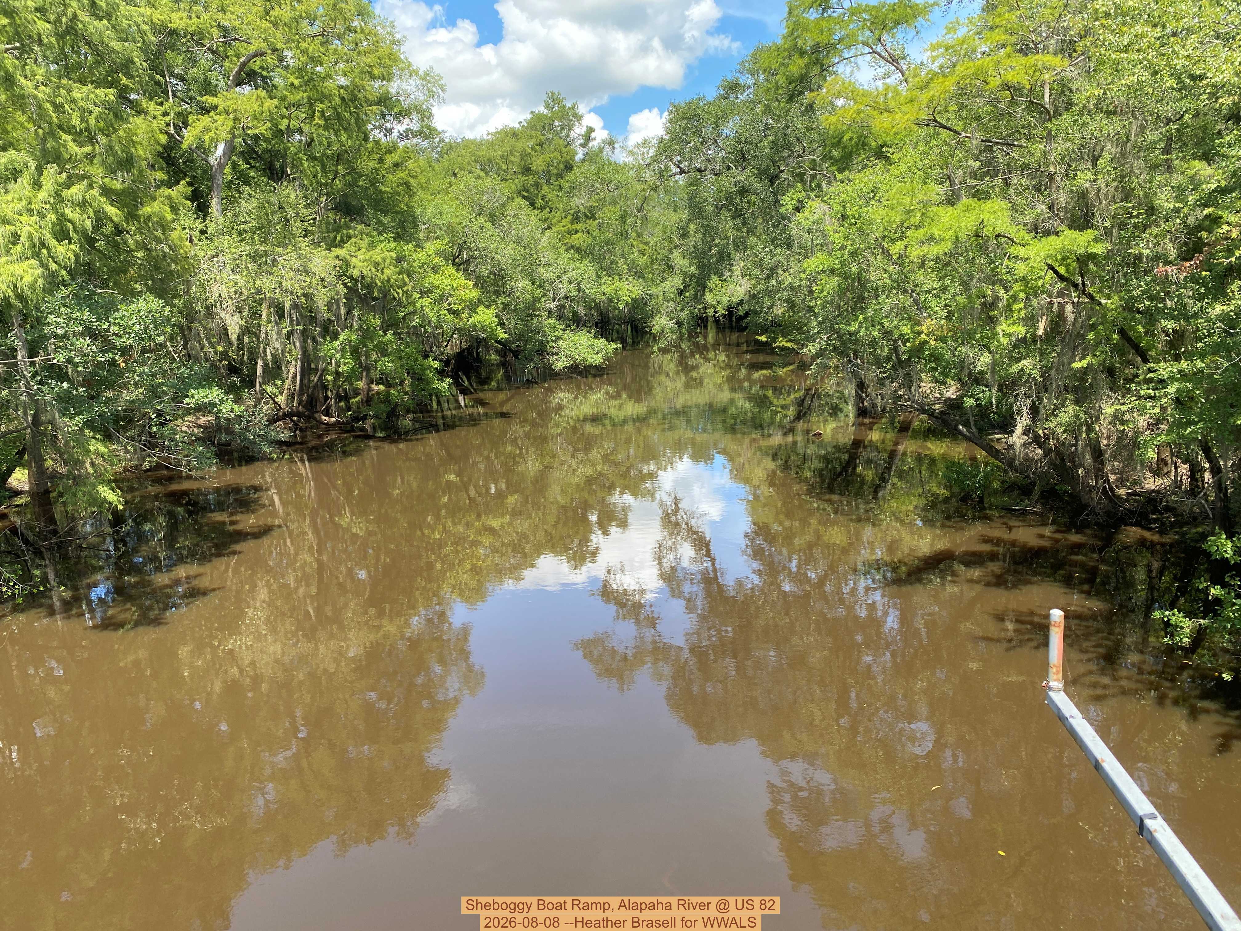 Sheboggy Boat Ramp, Alapaha River @ US 82 2026-08-08 --Heather Brasell for WWALS