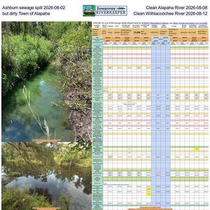[Ashburn sewage spill 2026-08-02, Clean Alapaha River 2026-08-08, but dirty Town of Alapaha, Clean Withlacoochee River 2026-08-12]