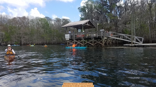 Manatee Springs, Suwannee River, 2018:02:24 11:09:39 --jsq for WWALS
