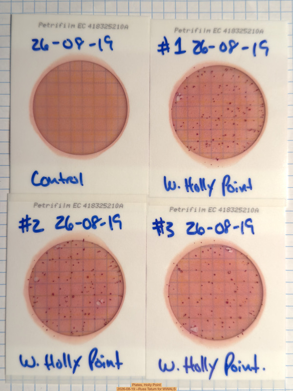 [Plates, Holly Point 2026-08-19 --Russ Tatum for WWALS]