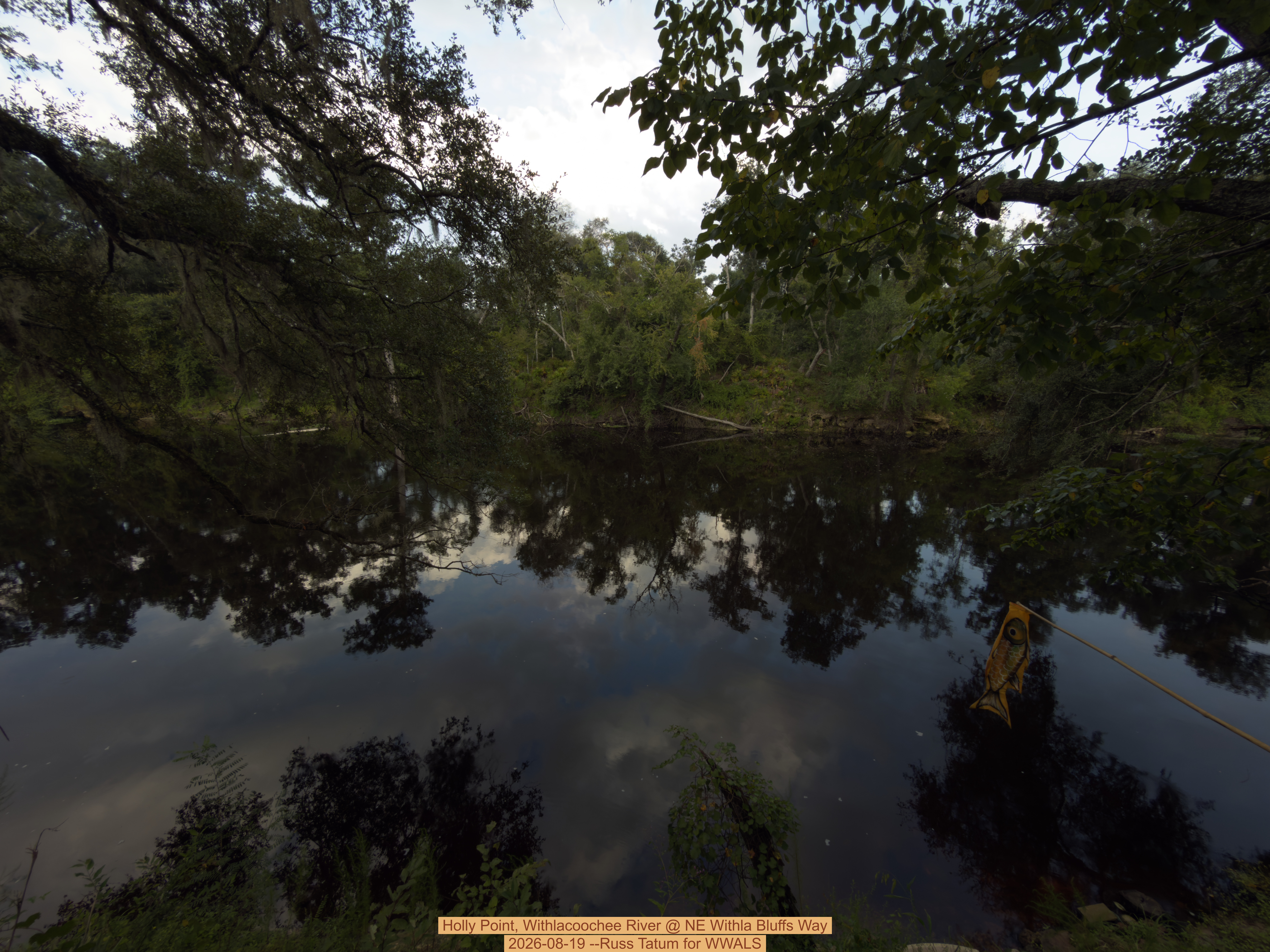 Holly Point, Withlacoochee River @ NE Withla Bluffs Way 2026-08-19 --Russ Tatum for WWALS