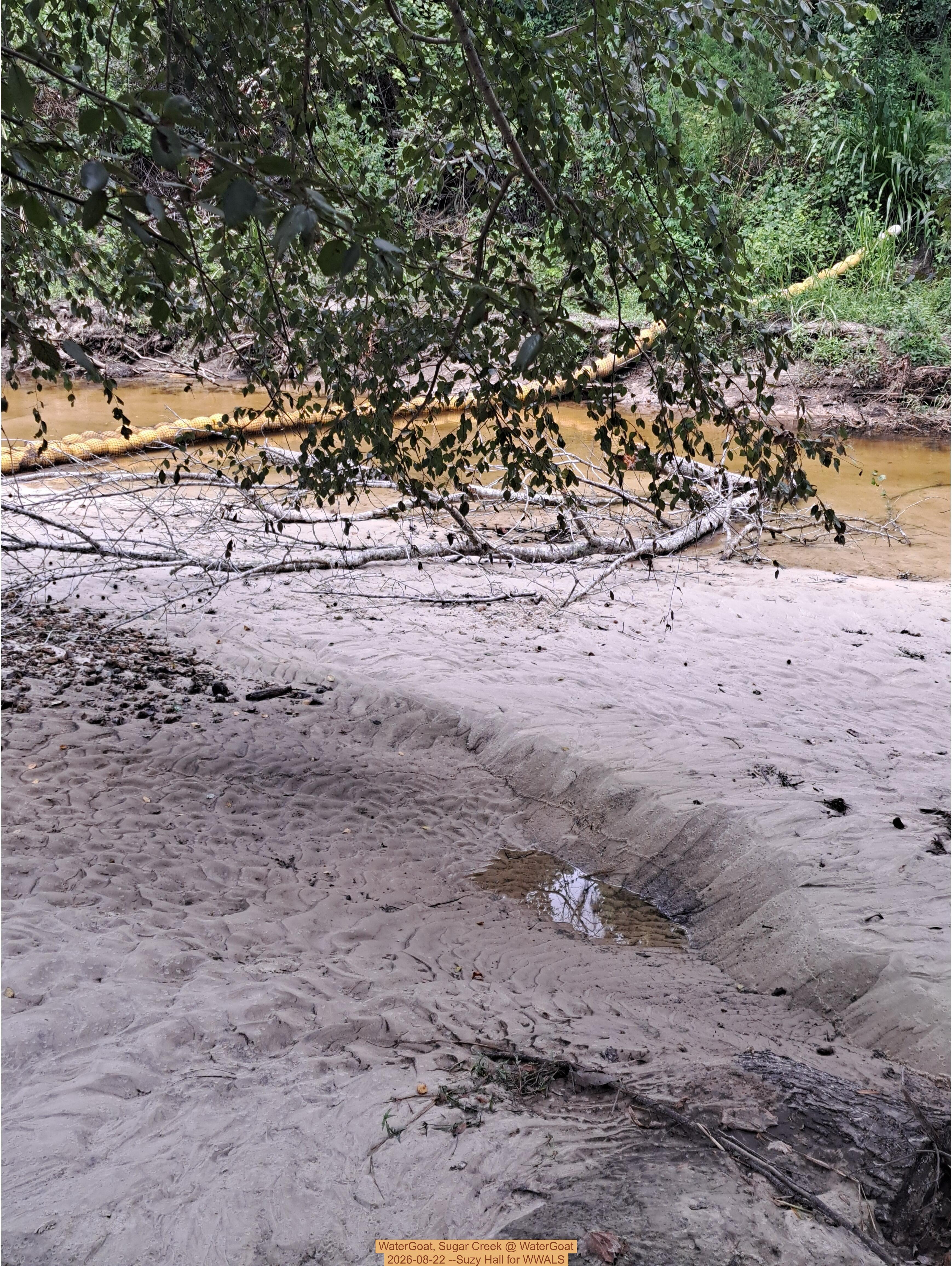 WaterGoat, Sugar Creek @ WaterGoat 2026-08-22 --Suzy Hall for WWALS