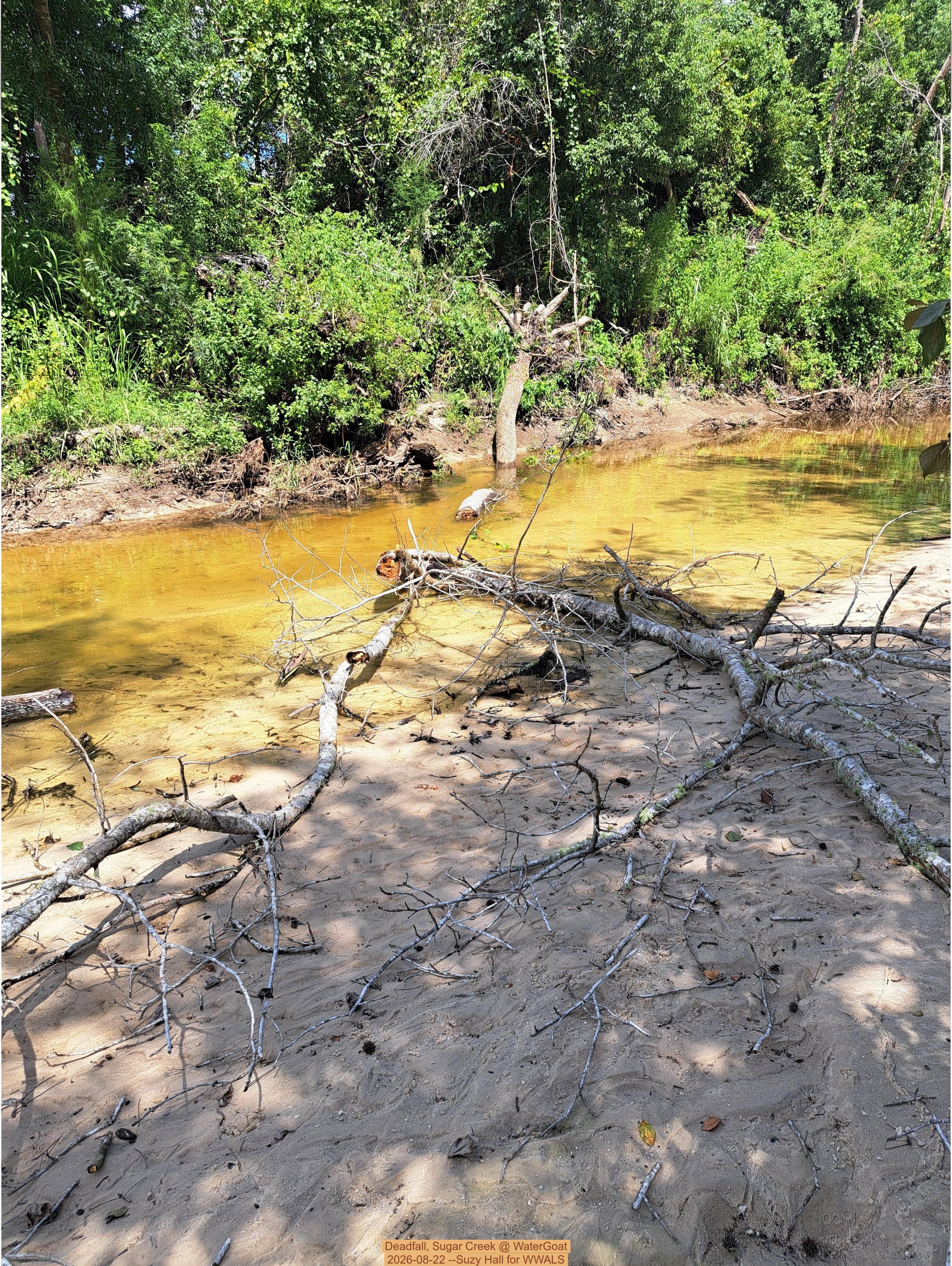 Deadfall, Sugar Creek @ WaterGoat 2026-08-22 --Suzy Hall for WWALS