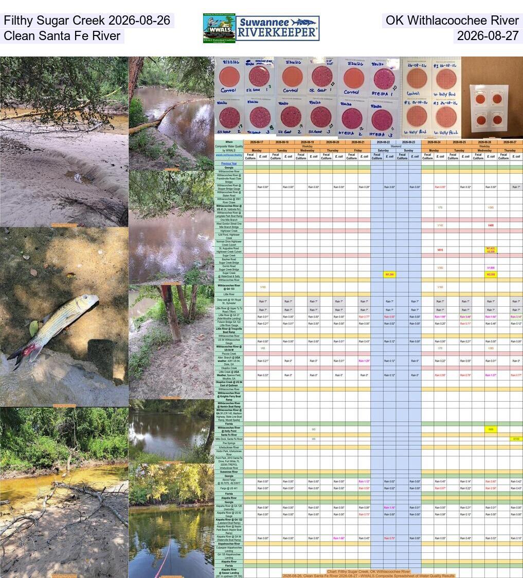 Filthy Sugar Creek 2026-08-26, OK Withlacoochee River, Clean Santa Fe River 2026-08-27