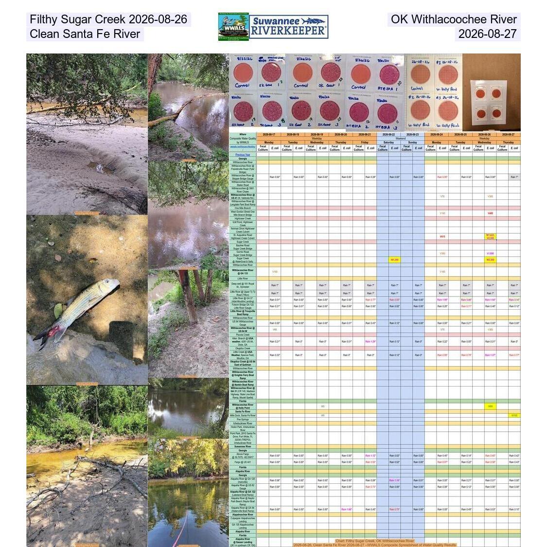 Filthy Sugar Creek 2026-08-26, OK Withlacoochee River, Clean Santa Fe River 2026-08-27