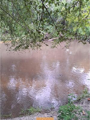 [Muddy, Sugar Creek @ WaterGoat 2026-08-26 --Suzy Hall for WWALS]