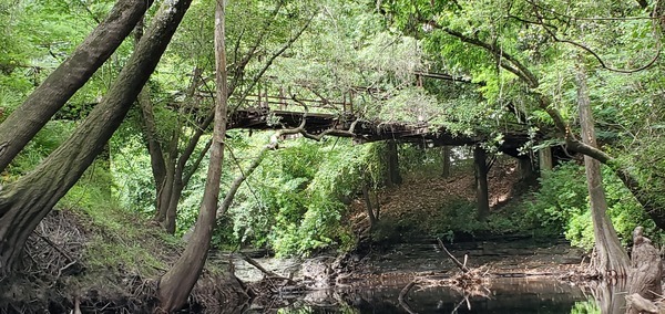 [Historic Beaty Bridge on Swilley Road, 2021-06-05, 11:17:59, 30.6165163, -83.0793772 --jsq for WWALS]