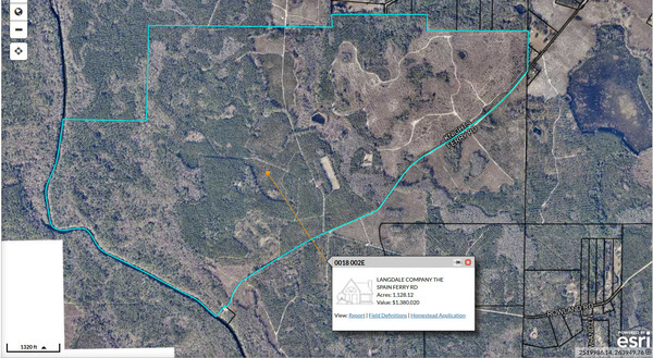 [Map: Langdale Company Spain Ferry Road Tract, 2025-12-02 --Lowndes County Tax Assessors]