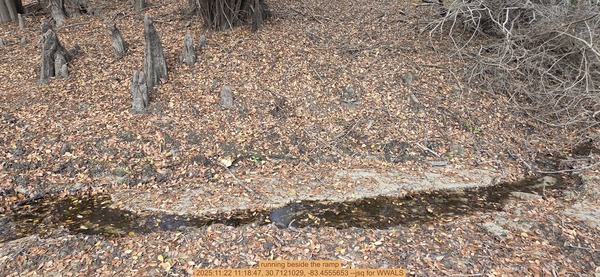 [running beside the ramp, 2025:11:22 11:18:47, 30.7121029, -83.4555653 --jsq for WWALS]