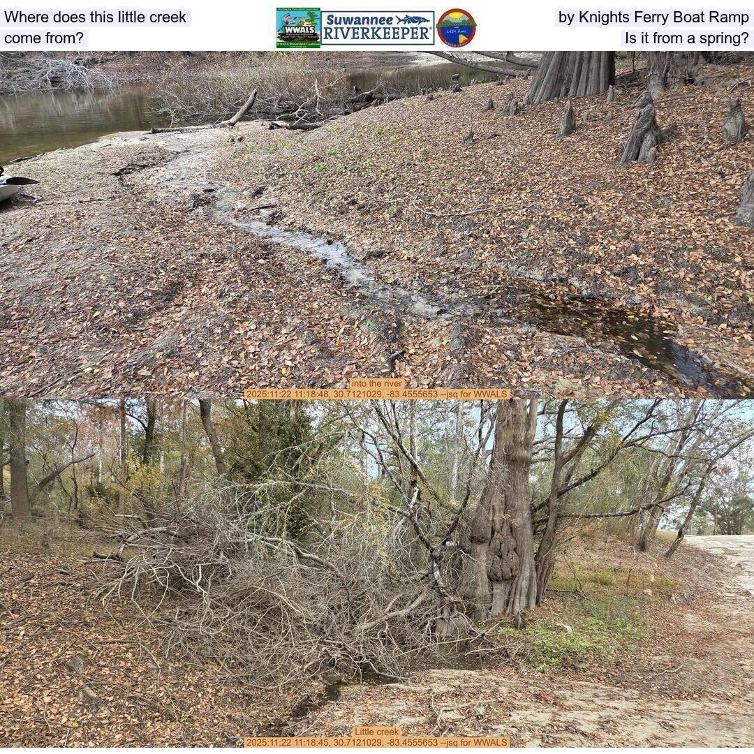 Where does this little creek by Knights Ferry Boat Ramp come from? Is it from a spring?