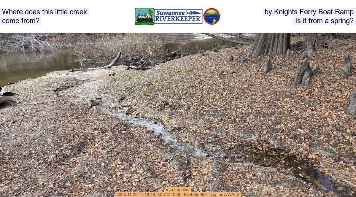 Where does this little creek by Knights Ferry Boat Ramp come from? Is it from a spring?