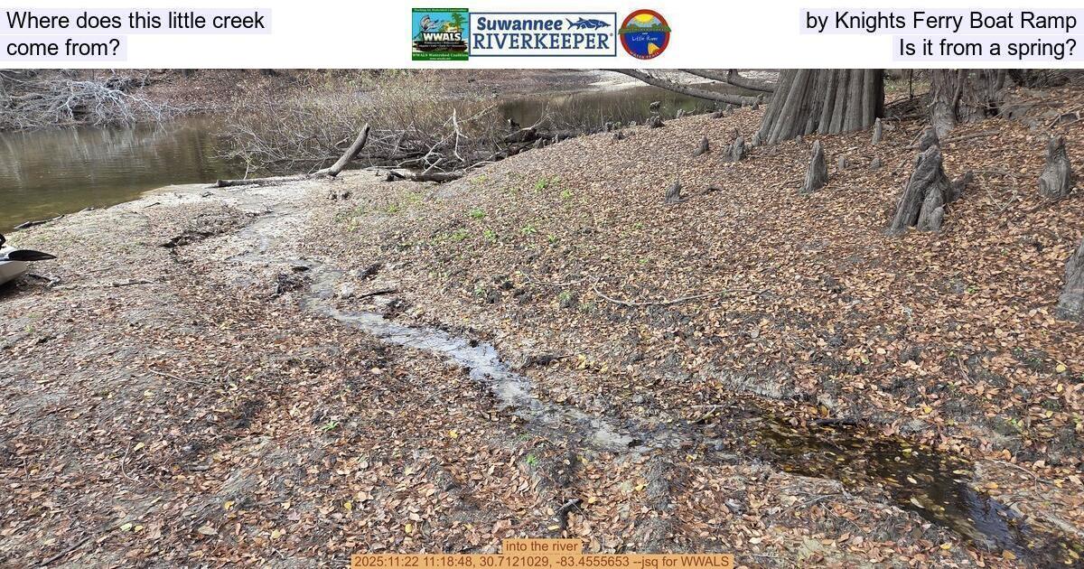 [Where does this little creek by Knights Ferry Boat Ramp come from? Is it from a spring?]