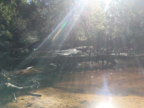 [Deadfall, 10:10:00, 30.8450750, -83.3469000]