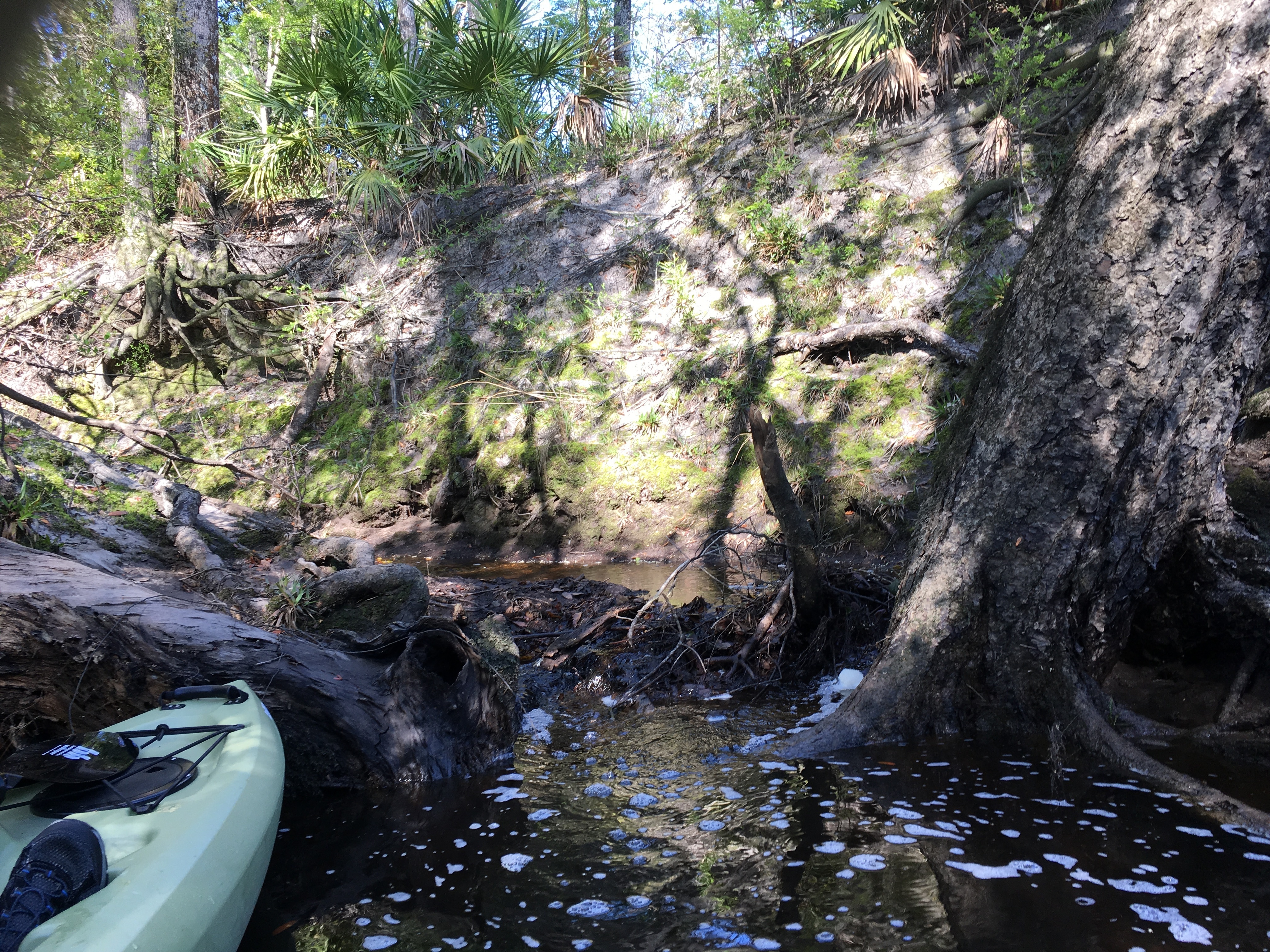 Creek or spring, left (west) bank, 10:05:15, 30.7994222, -83.0253000