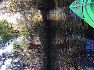[Private access at red house, Griner Road, left (east) bank, 09:34:21, 30.8193639, -83.0176611]