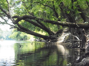 [Limb reflections, 12:28:09]