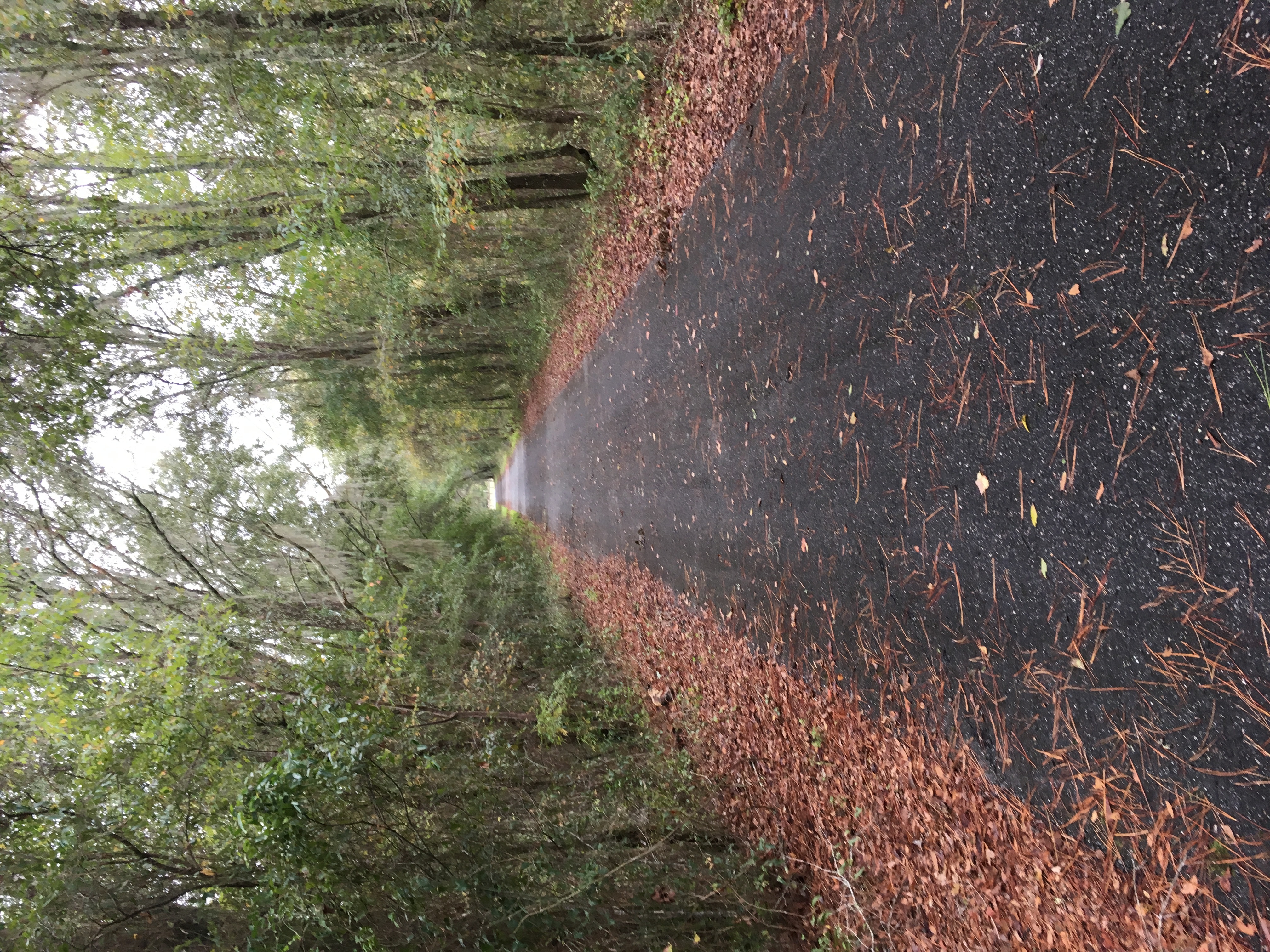 Paved
