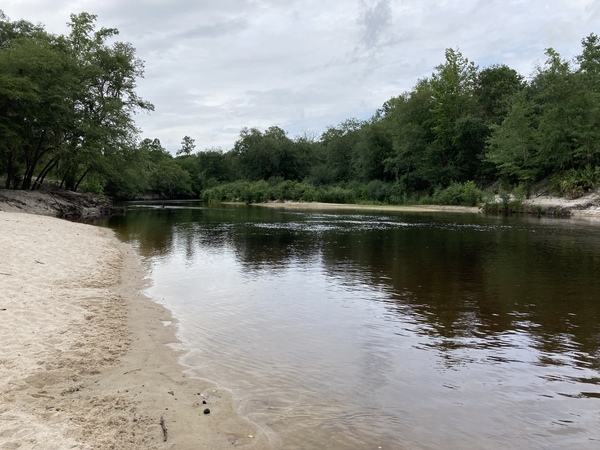 [Upstream, Naylor Boat Ramp is behind the trees on the left]