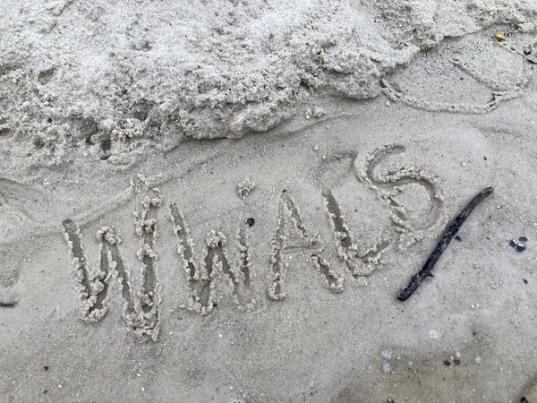 [Sandy WWALS logo]