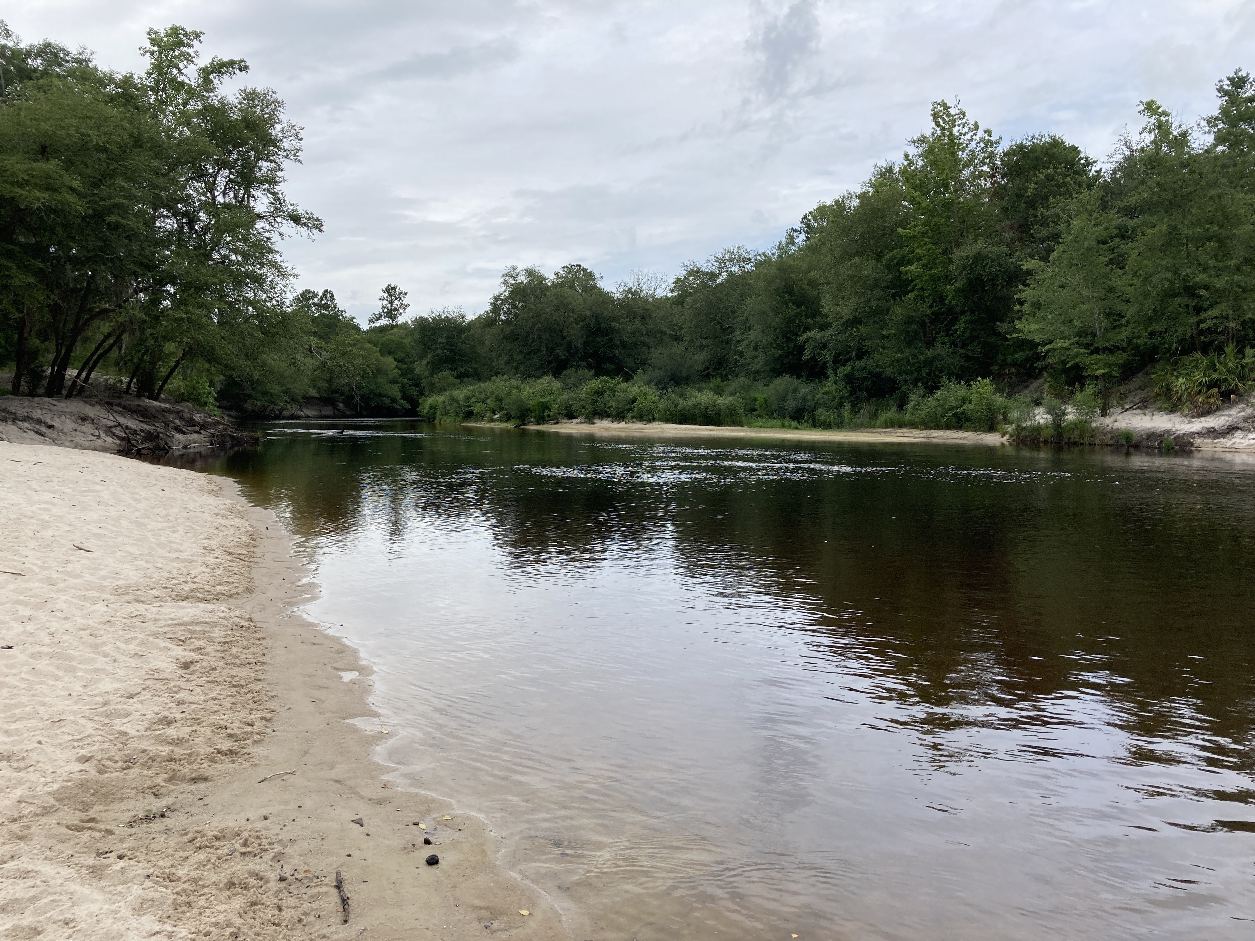Upstream, Naylor Boat Ramp is behind the trees on the left