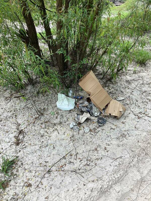 [This was a apparently a box of bottles and cans that someone just ditched after carrying it around in the back of their truck for a while. People, use a garbage can please.]