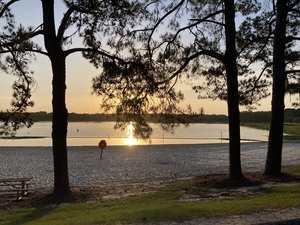 [Beach, Reed Bingham State Park Lake, Colquitt County, GA]