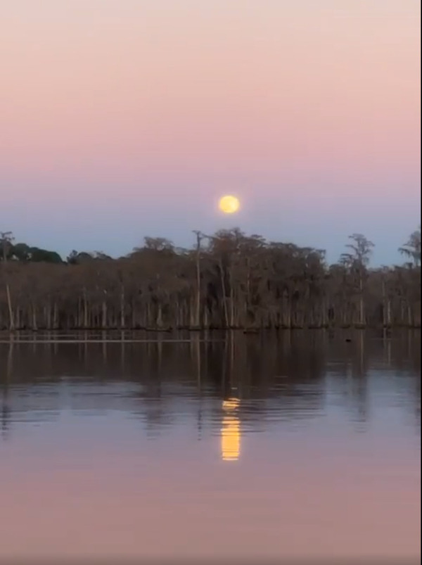 [Moonrise --Kimberly Godden Tanner]