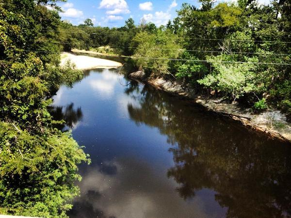 600x450 At US 84 where Lowndes County plans a park, in Alapaha River, by Chris Graham, for WWALS.net, 17 August 2014