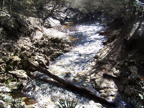 600x450 Alapaha River flowing, in Alapaha Sink, by Chris Mericle, 16 September 2014