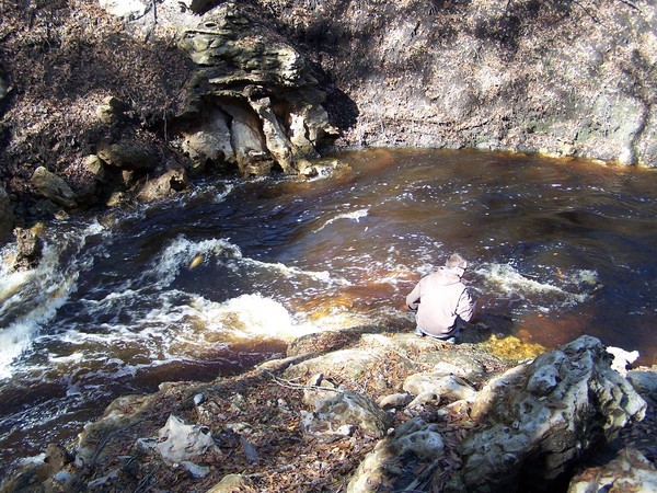 600x450 Red with human for scale, in Alapaha Sink, by Chris Mericle, 16 September 2014