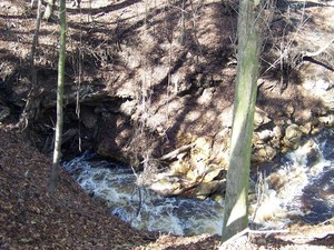 300x225 Disappearing into the sink, in Alapaha Sink, by Chris Mericle, 16 September 2014