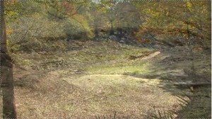 300x168 Cherry Creek sinkhole, in GWC Dirty Dozen Sabal Trail on WCTV, by John S. Quarterman, for WWALS.net, 26 November 2014