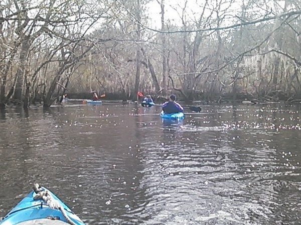 600x450 Left, in Alapaha deadfalls, by John S. Quarterman, for WWALS.net, 17 January 2015