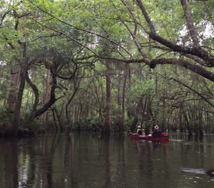 11169864_10206730426918442_1729868897263766437_n.html