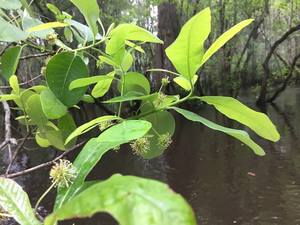 11047932_10206730389597509_7829206971718856111_n.html