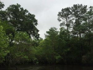 10407078_10206730415638160_3212016148599100156_n.html