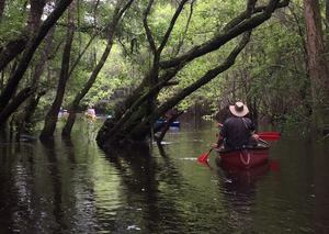 11159499_10206730406957943_2706606157932350360_n.html