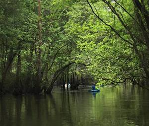 10489679_10206730449559008_5159472431930883087_n.html