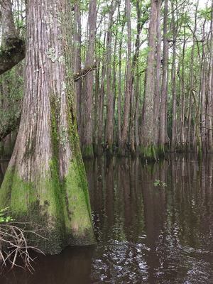 10995484_10206730421598309_7818333891550132787_n.html