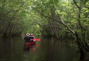 11156376_10206730387317452_2076623733411229584_n.html