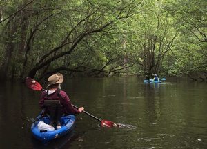 11174868_10206730446078921_1782073332113928850_n.html