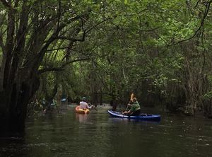 10428143_10206730453719112_8935313152974337851_n.html