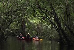 11150324_10206730460639285_4136654135635558712_n.html