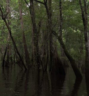 11173344_10206730457879216_1442691434956461510_n.html