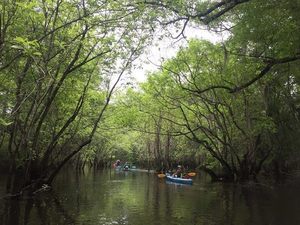 11162210_10206730391037545_8715347373115118353_n.html