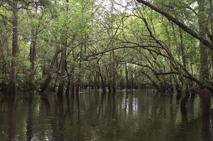 11140361_10206730433598609_496488833926768351_n.html